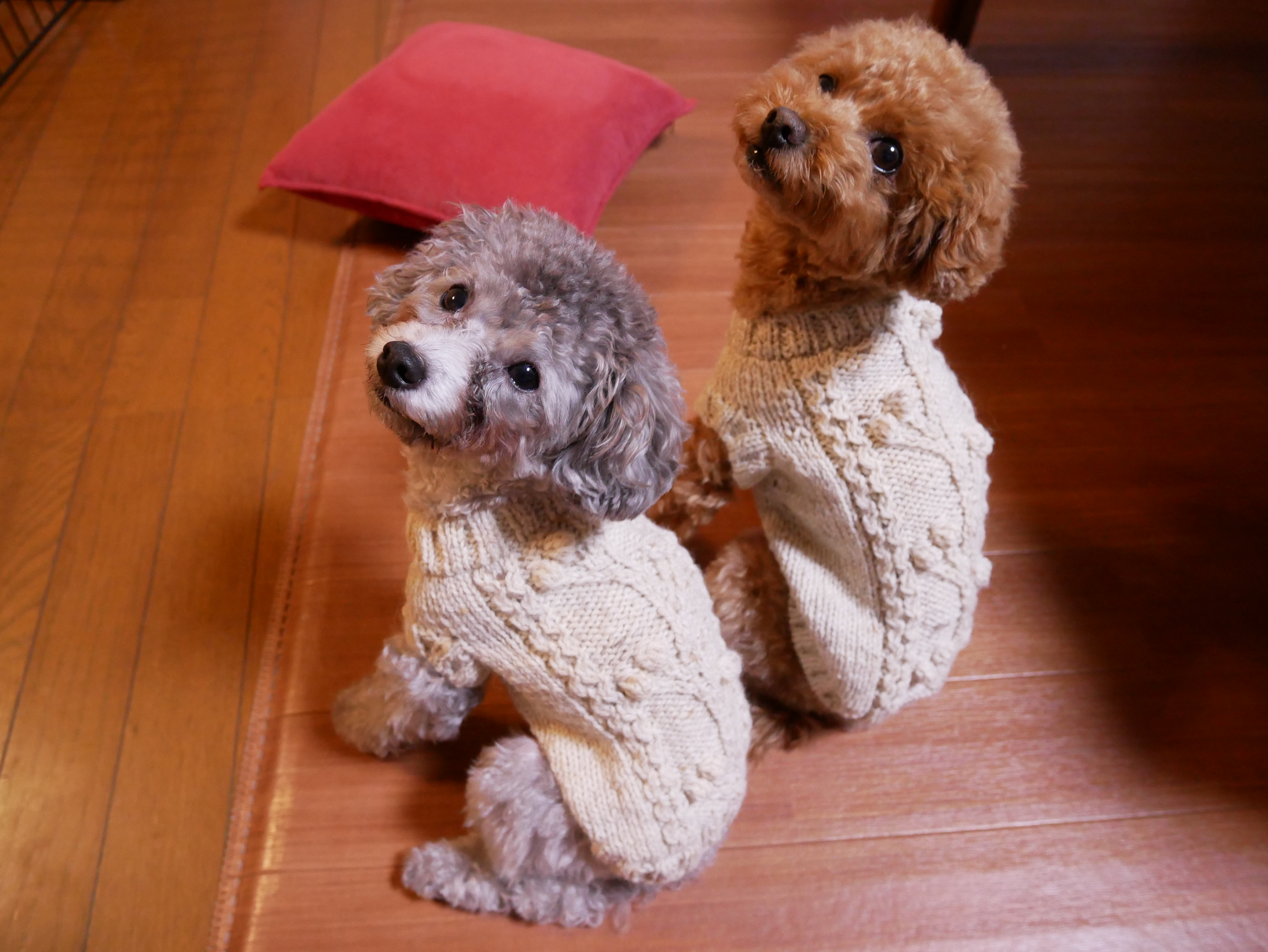 50 犬 セーター 編み図 かぎ針編み 犬 セーター 編み図 かぎ針編み イラスト無料ダウンロード