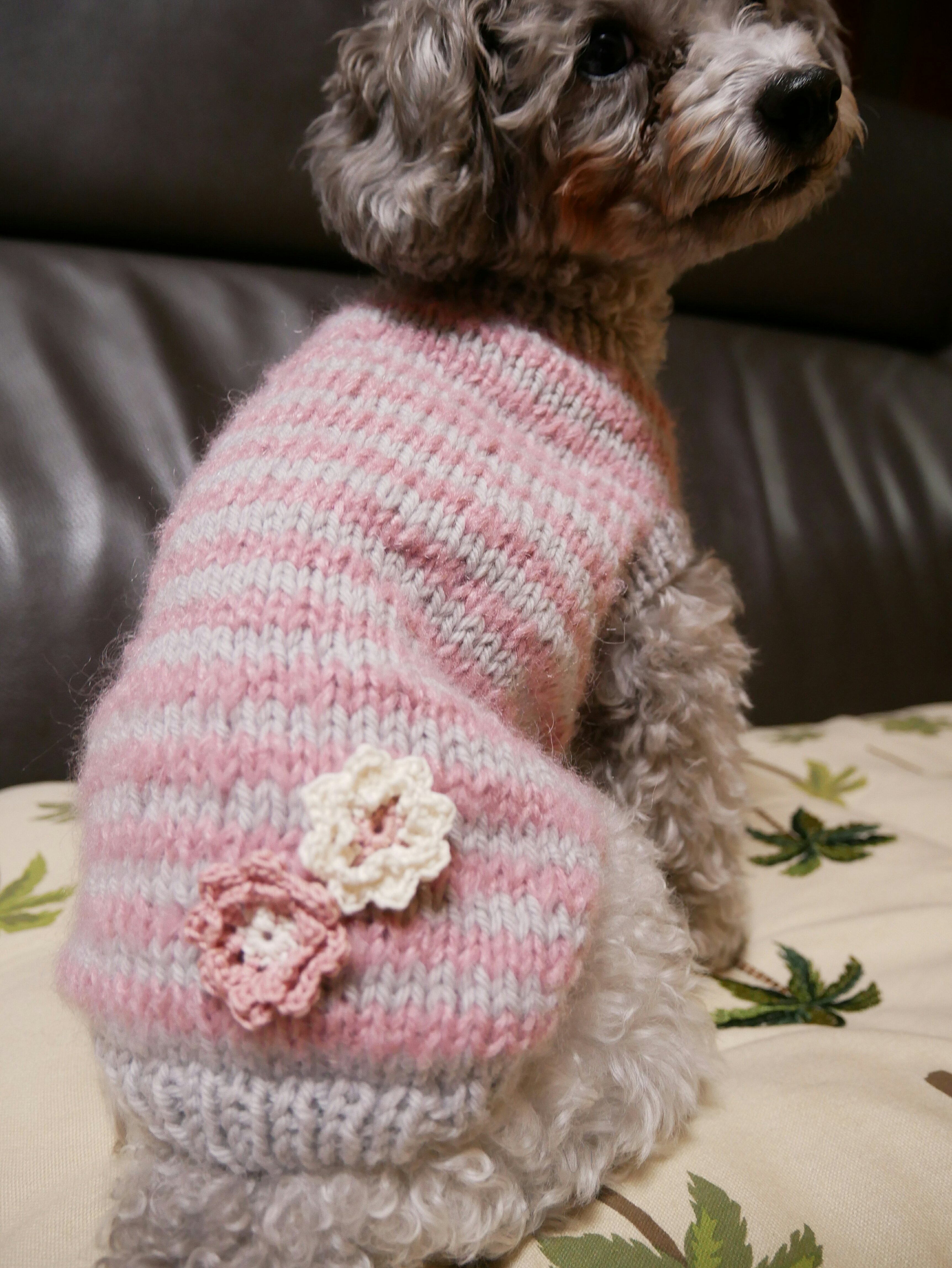 とじはぎのないワンコセーター犬服・編み図  サポトリコ