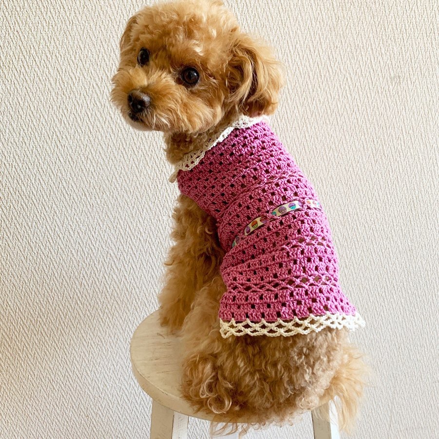 小型犬用手編み服 umi様専用 - 犬用品