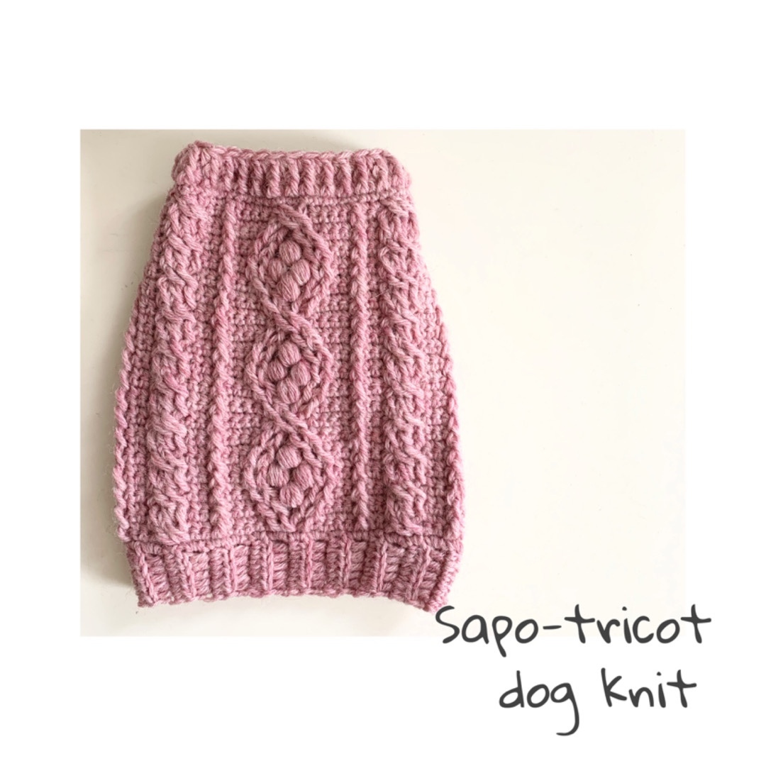 かぎ針でも編めるアラン模様のわんこニット Sapo Tricot