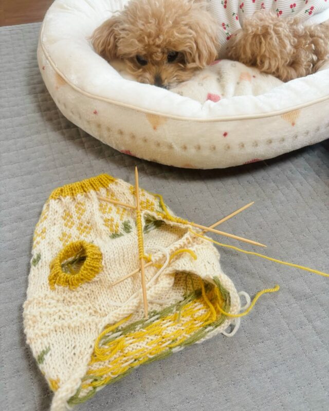 ノルウェーで見つけた3つの毛糸屋さん | サポトリコ