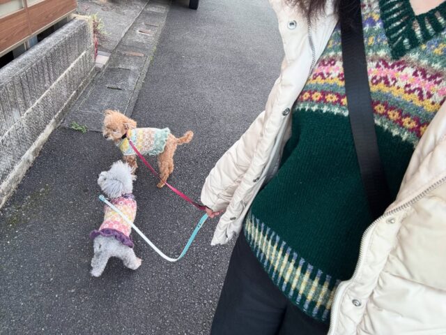 とじはぎのないワンコセーター【犬服・編み図】 | サポトリコ