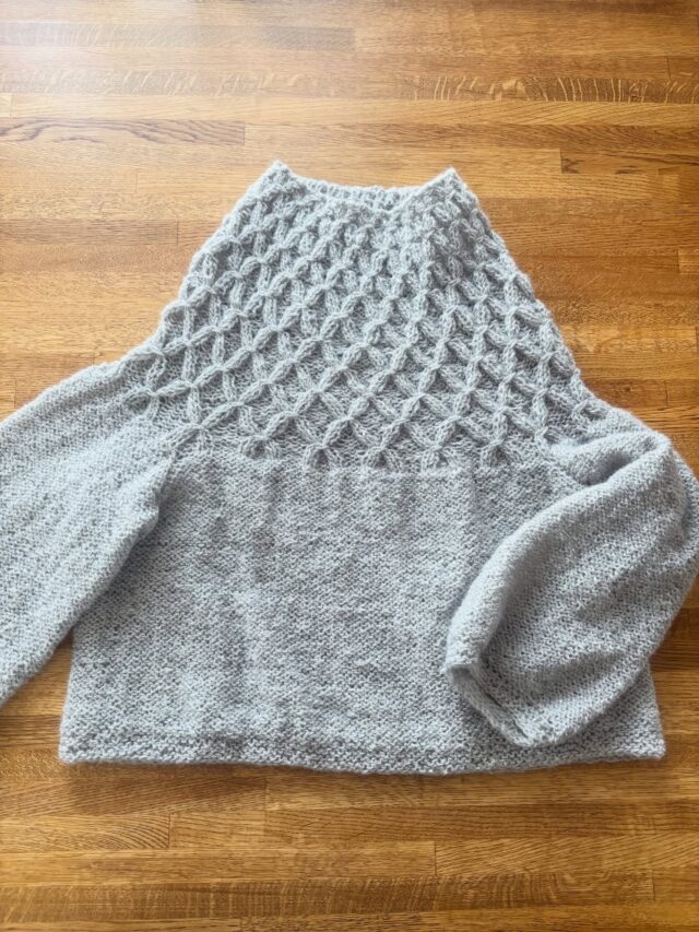 かぎ針でも編めるアラン模様のわんこニット | サポトリコ